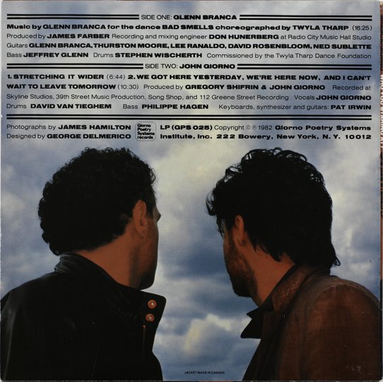 Disc cover