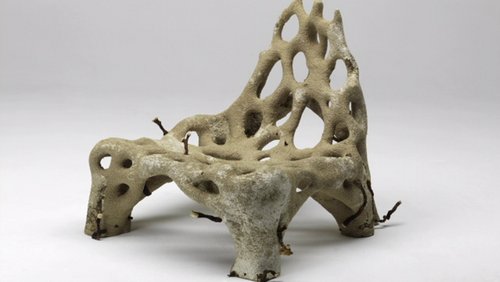 chaise Mycelium